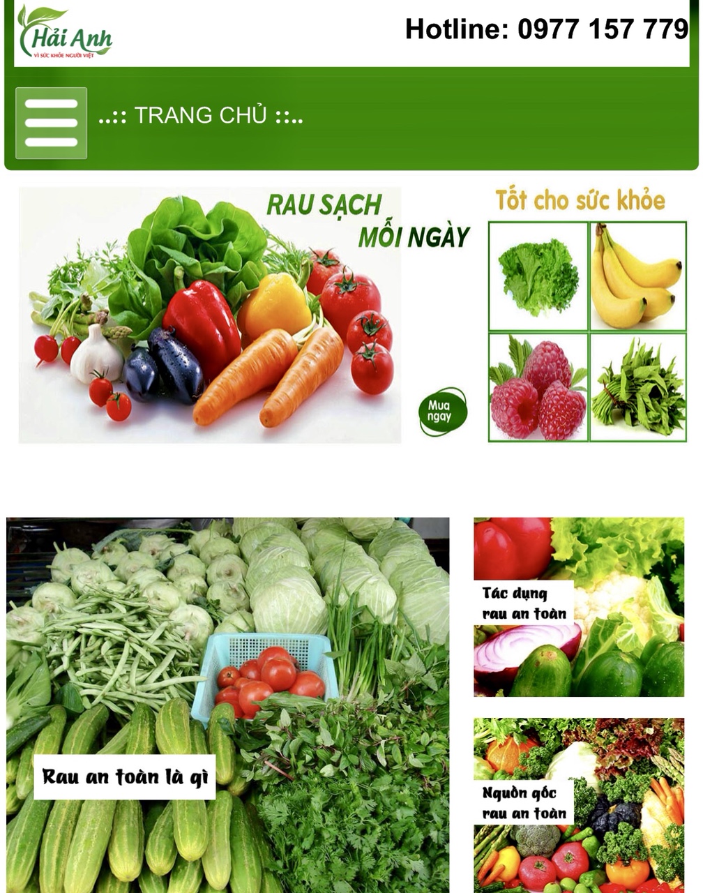cong ty rau hai anh, cung cap rau ha noi